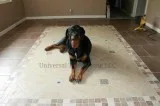 Tile Installation