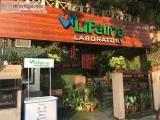 Blood test  lab in Delhi