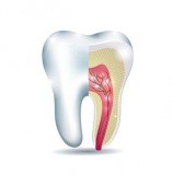 Get the Most Informative care for your Root Canal Treatment