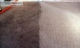 Carpet and Upholstery Cleaning