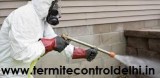 Termite Control in Karol Bagh