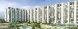 Ready to Move Flats In Noida
