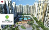 Get Ready to Buy your Dreams Homes with Mahagun Mywoods ii