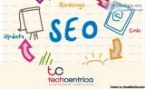 Top SEO Company in Noida