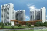Ambience Creacions Luxury Residential Apartment In Gurgaon
