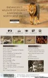 sasan gir tour packages