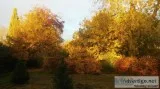 Autumnal Garden Tour at Otley Hall