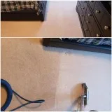 Find the Best Carpet Cleaning Service Near You