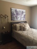 Female Roommate Wanted