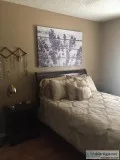 Female Roommate Wanted