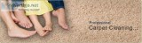 Carpet Cleaning In Hamilton Township