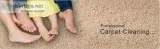 Carpet Cleaning In Hamilton Township