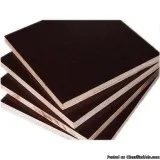 Shuttering Plywood Manufacturer and Suppliers