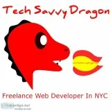 Websites Made For Your Company  Tech Savvy Dragon