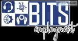 Wanted Dot NEt Developers
