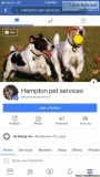 Dog training grooming etc
