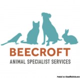 Pet surgeon Pet Doctor Pet surgery Animal doctors in Singapore