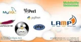 LAMP Website Development Company  Mobiloitte