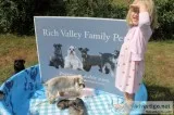 Miniature schnauzer puppies Toy Size