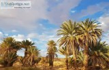 3 Days Marrakech to erg Chigaga Desert Tour