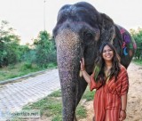 Elephant village Jaipur