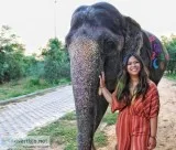Elephant village Jaipur