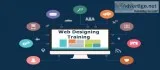 Web Designing Training in Noida &ndash APEX TGI