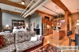 Magnificent loft style condo in St-Jean-sur-Richelie u