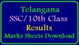 TS Telangana 10th Class SSC March 2019 Results Download