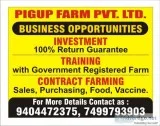 pigup farmming and services