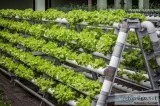 Agriculture Courses