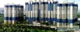 Utter your Crave of luxury home with JKG Palm Court 9266850850
