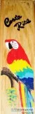 Vintage Costa Rica Souvenir Hand Painted Parrot Pen Wood Box Rai