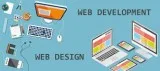 Best Website Design Services in Florida