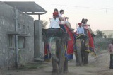 The awesome experience of elephant ride