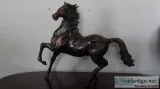 An Old Horse For Sale