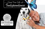 Best services of Connect Care in Boyne