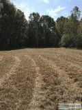 131 acres on Mud River