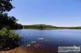 Alone around the lake Peaceful haven in the Laurentians