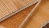 Leading Plywood Manufacturers in Haryana