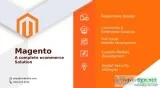Magento Development Services