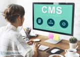 What is CMS Website Design is All About
