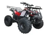 New Coolster 3125XR8UUS 2x4 Mid Size 125 ATV - Shipping Not Incl