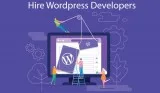 Hire Wordpress Developers in Vadodara