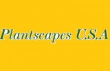 Buy indoor office plants from us