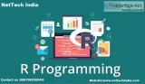 R language Course in Thane and Mumbai