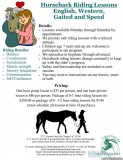 Horseback Riding Lessons