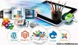 Top SEO Companies in Mohali