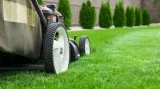 Get the best service of Tree Maintenance in Vyner