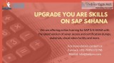 SAP S4Hana  online training